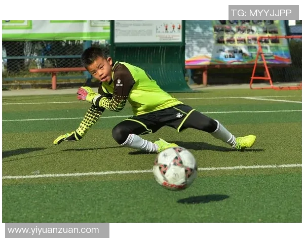 武汉羽毛球队整体压制现象分析及其对赛事的影响探讨 武汉羽毛球队整体压制现象分析及其对赛事的影响探讨