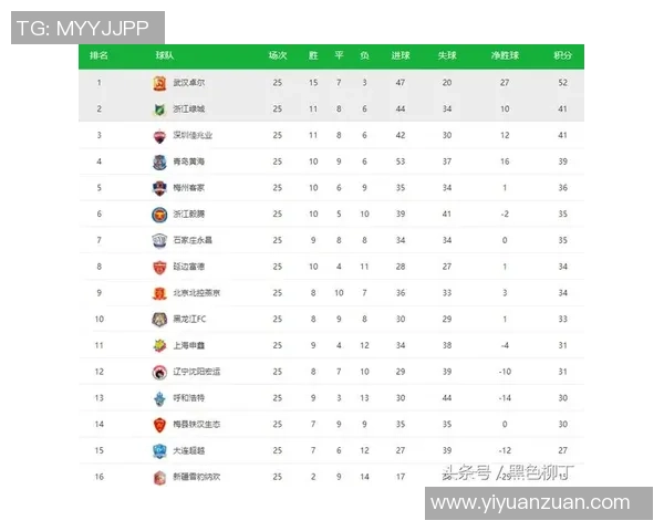 深圳网球队在洲际杯积分榜上以89分稳居第一名表现出色