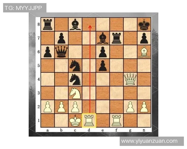 西安羽毛球队灵活性对比深度解析与战术优势探讨 西安羽毛球队灵活性对比深度解析与战术优势探讨