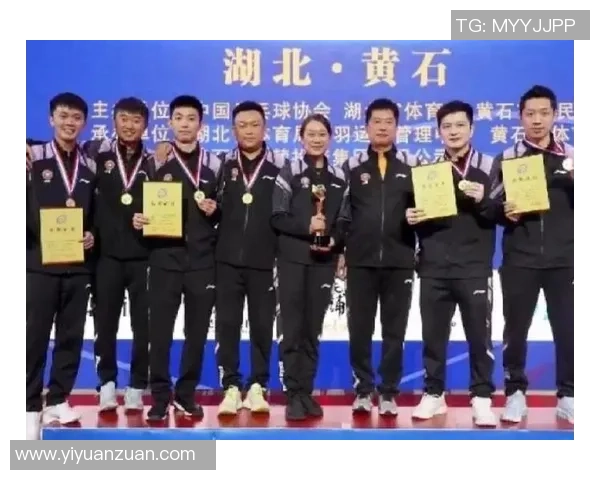上海羽毛球队在全国锦标赛中的团队协作表现分析与点评