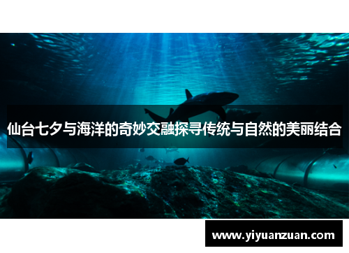 仙台七夕与海洋的奇妙交融探寻传统与自然的美丽结合