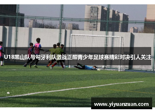 U18黑山队与匈牙利队激战正酣青少年足球赛精彩对决引人关注